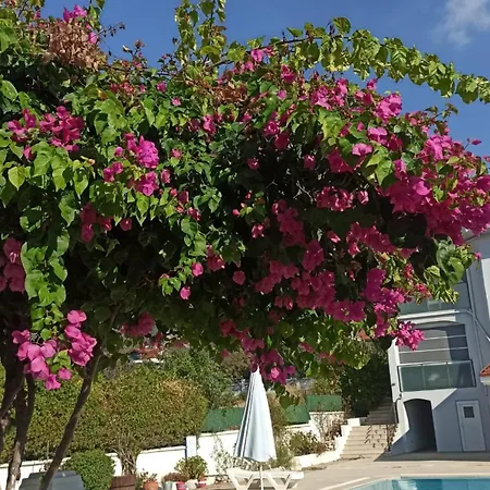 White With Pool , Garden ,balcony With Amazing Panorama Βίλα *