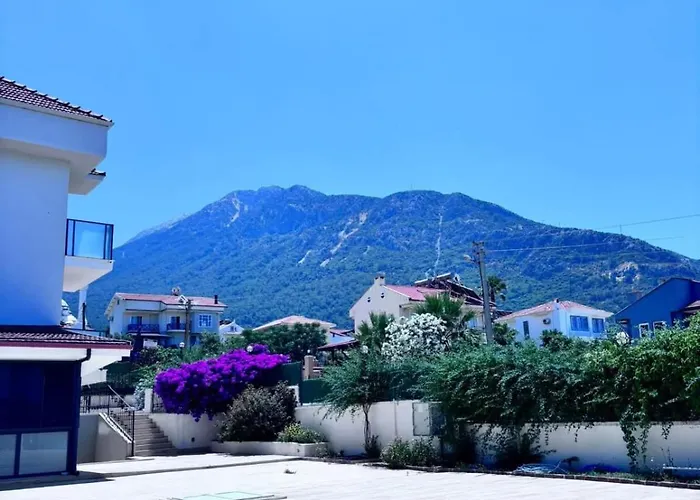 White With Pool , Garden ,balcony With Amazing Panorama Willa *